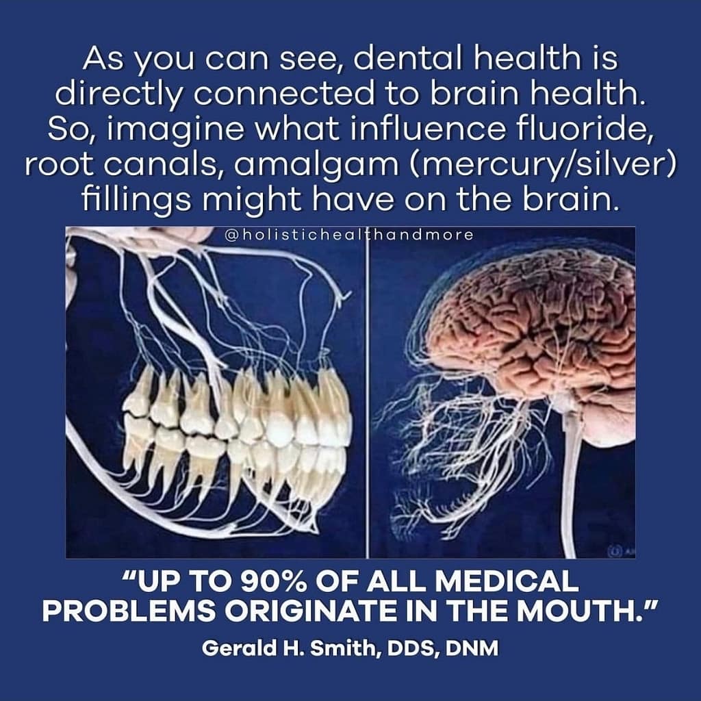 wisdom-in-our-teeth-your-roots-of-freedom